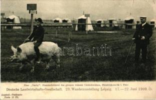 Leipzig, Deutsche Landwirtschafts-Gesellschaft, 23. Wanderausstellung / German, agriculture, traveling exhibition (small tear)