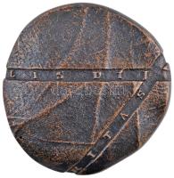 Sipos Marica (1967-) 1994. "Caritas Szociális Díj" Br emlékérem (63mm) T:1