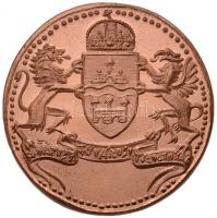 Ifj. Szlávits László (1959-) DN "Budapest Fővárosi Tűzoltóság / Szent Flórián" bronzozott ...