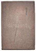 ~1930. "Magyar Királyi Állami Zrínyi Miklós Gimnázium" ezüstözött Br emlékérem (40x28mm) T...