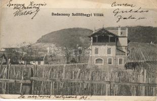 Badacsony Szöllőhegyi villák