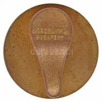 ~1900. "Magyar Mérnök- és Építész Egylet" zománcozott Br gomblyukjelvény szign.:MORZSÁNYI ...