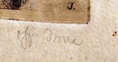 Ifj. Imre István (1950-): Füles bagoly. Rézkarc, papír, jelzett, 19×11 cm