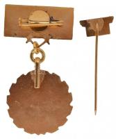 ~1960-70. "Törzsgárda Utasellátó" zománcozott fém jelvény, kitűzővel együtt T:2