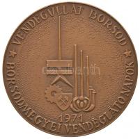 1971. "Borsodmegyei Vendéglátó Napok - Vendégüllát Borsod" Br emlékérem (71mm) T:2