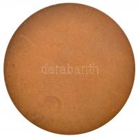 1971. "Borsodmegyei Vendéglátó Napok - Vendégüllát Borsod" Br emlékérem (71mm) T:2