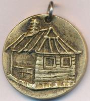 2010. "Hegedűs a háztetőn - Víg 2010." Vígszínház  fém emlékérem, lyukasztva füllel T:2