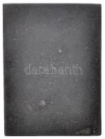 1942. "II. Országos Úszó Hét 1942. aug.29.-szept.8." hadifém plakett (60x45mm) T:2