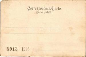 Dornavátra, Bad Dorna; curhotel, music pavilion, spa, floral (EK)