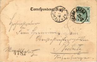 Dornavátra, Curhaus (fl)