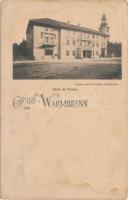 Cieplice Slaskie-Zdrój, Bad Warmbrunn, Hotel de Prusse (small tear)