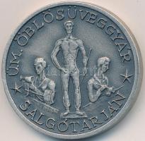 1981. "Kossuth Művelődési Ház 75 év 1906-1981 / Ü.M. Öblösüveggyár Salgótarján" fém emléké...