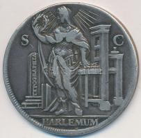 Hollandia DN "Haarlem" Ag emlékérem (11.52g/32mm) T:2-
Netherlands ND "Haarlem" ...