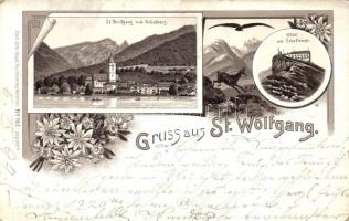 1897 St. Wolfgang im Salzkammergut, Hotel am Schafberg, floral, litho (EM)