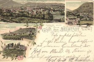 1896 Neustadt an der Weinstraße (Neustadt an der Haardt), floral, litho (b)