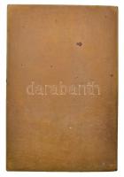 Rigele Alajos (1879-1940) 1910. "Pirchala Imre negyven éves működésének emlékére" Cu plake...