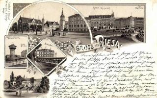 1896 Riesa, Rathaus, Kirche, Hotel, Cafe Apitzch, Wasserthurm, Bahnhof / town hall, church, cafe, hotel, railway station, floral, litho (cut)