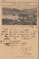 1890 (!) Titisee, Bad Schwarzwald, Schwarzwald Hotel (Friedrich Jaeger) (EK)