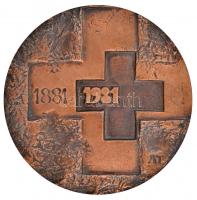 Asszonyi Tamás (1942-) 1981. "1881-1981 / 100 éves a Magyar Vöröskereszt" Br emlékplakett ...