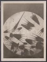 1928. december 8. Mikrofotó, jelzés nélküli vintage fotó Kinszki Imre (1901-1945) hagyatékából, a szerző által feliratozva, 8,5x6,5 cm