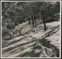 cca 1940 Buda télen, jelzetlen kép Reich Péter Cornel hagyatékából, 18x17 cm