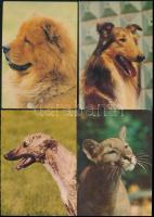 cca 1880-1980 kb 40db régi fénykép és képeslap, benne keményhátú és szocreál is