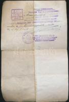 1944 A Svéd Követség fényképes menlevelének korabeli hiteles másolata / Protective Schutz-pass of th...