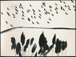 cca 1975 Gebhardt György (1910-1993): Madarak, aláírt vintage fotóművészeti alkotás, 18x24 cm