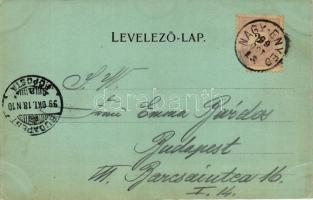 1899 Nagyenyed, Országos fegyintézet, gyáraival; kiadja a Nagyenyedi Könyvnyomda és Papírárugyár Rt....