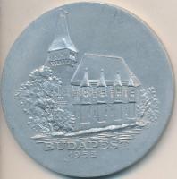 1955. "100. Ausztria-Magyarország Labdarúgó Mérkőzés" Al emlékérem (61,5mm) T:2