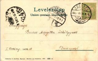 1905 Tátra Tarpatak nagy vízesése; Cattarino kiadása 223. (EK)