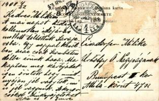 Sarajevo, Rathaus und Appelquai, Verlag Albert Thier / town hall, quay (Rb)