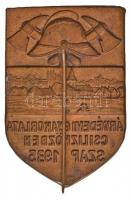 1935. "Árvédelmi gyakorlata Csilizközben - SZAP 1935" Cu kitűző (45x30mm) T:2