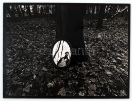 cca 1980 Dr. Lajos László: Erdő, feliratozott vintage fotóművészeti alkotás, kasírozva, 29,5x39 cm