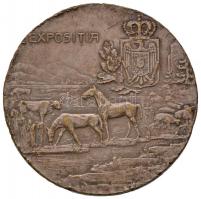 Románia ~1926. "Román Mezőgazdasági Kamara / Kiállítás" Br emlékérem. Szign.: R.Fäbbler (5...