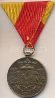 1908. "Bosznia-Hercegovinai Emlékérem" Br kitüntetés mellszalaggal (36mm) T:2-
Hungary 190...