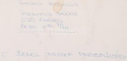 cca 1975 Stekovics János: Benes József festőművész, feliratozott vintage fotóművészeti alkotás, 40x3...
