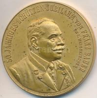 Ausztria 1909. "50 éves Lövész Jubileum Franz Bauer / Fehértemplom és Ischl Tiszteletbeli Tagja 1859-1909" aranyozott fém emlékérem, "N. BACHRACH WIEN V." gyártói jelzéssel (40mm) T:1-,2 Austria 1909. "50. Jähriges Schützen-Jubiläum von Franz Bauer / Ehrenmitglied von Ung. Weisskirchen und Ischl" gold plated metal commemorative medal with "N. BACHRACH WIEN V." makers mark (40mm) C:AU,XF