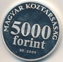 2009. 5000Ft Ag "Radnóti" T:PP felületi karc