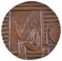 Váró Márton (1943-) 1978. "Prof. Dr. Gunda Béla - Herder-díj 1978" Br plakett (107mm) T:1-...