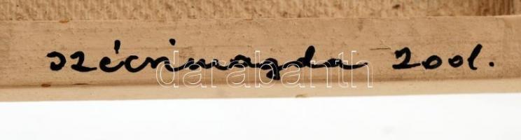 Szécsi Magda (1958-)Mély tenger 2001, tűzzománc,jelzett,keretezett,  13x21cm