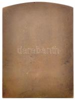 1906. "A Magyar Történelmi Társulat Thaly Kálmánnak - 1906" Br plakett. Szign.: K. Tóth L....