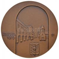 Lapis András (1942-) 1979. "IX. Magyar Endokrin Kongresszus / Szeged" Br emlékérem (69mm) ...