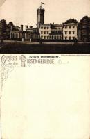 Myslakowice, Schloss Erdmannsdorf, litho (cut)