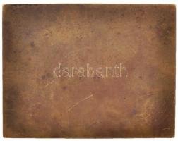 Berán Lajos (1882-1943) 1910. "Balaton Úszók Egyesülete 1900-1910" Br plakett (64x49mm) T:...