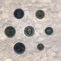 2008. 1Ft-100Ft "Búcsú az egy- és kétforintostól" 7xklf db dísztokos szettben T:BU