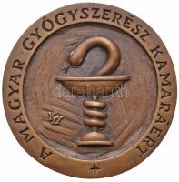 Kiss György (1943-) DN "A Magyar Gyógyszerész Kamaráért" Br emlékplakett (104mm) T:2 Hungary ND "For the Hungarian Chamber of Pharmacist" Br commemorative plaque. Sign.: György Kiss (104mm) C:XF