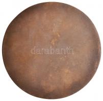 Kiss György (1943-) DN "A Magyar Gyógyszerész Kamaráért" Br emlékplakett (104mm) T:2
Hunga...