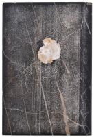 Zsákodi Csiszér János (1883-1953) 1926. "Jókai Mór - Nemzetünk büszkeségének 100.ik születés év...