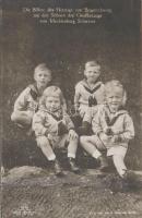 Die Söhne des Herzogs von Braunschweig mit den Söhnen des Grossherzogs von Meckleburg Schwerin